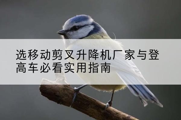 龙川电动升降机厂家-选移动剪叉升降机厂家与登高车必看实用指南