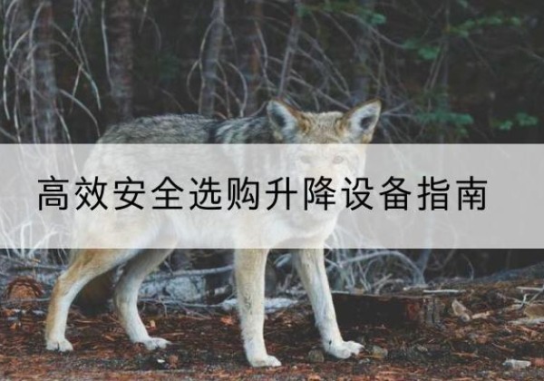 龙川升降货梯厂家推荐-*安全选购升降设备指南