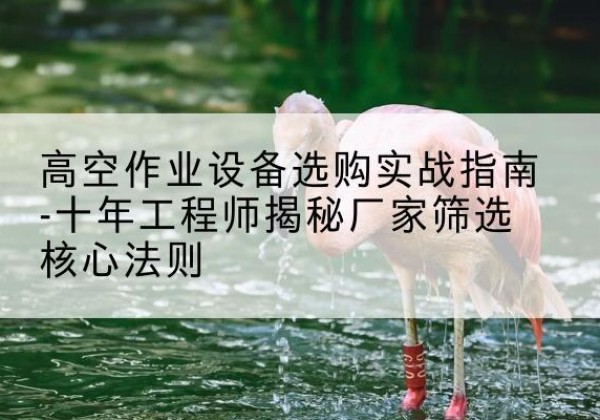 龙川剪叉式升降机厂家-高空作业设备选购实战指南-十年工程师揭秘厂家筛选核心法则